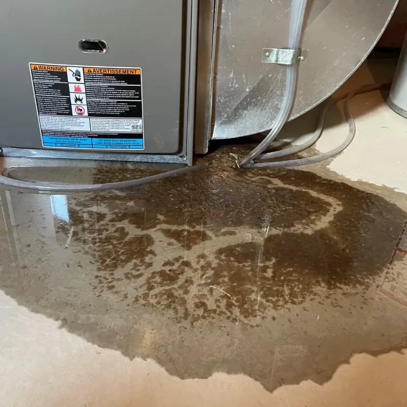 Appliance Leak Cleanup in Wailua Homesteads, HI
