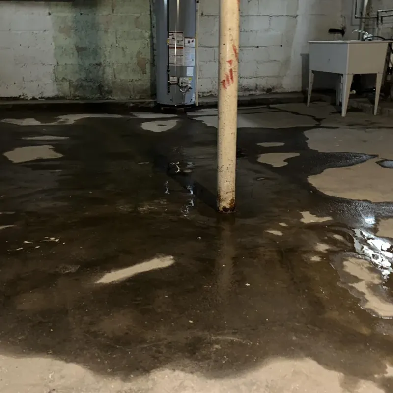 Emergency Water Extraction And Removal in Wailua Homesteads, HI